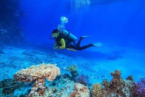 Snorkelling with Fishing Trip