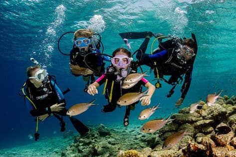 Private Snorkeling