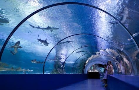 Aquarium Tour From Alanya