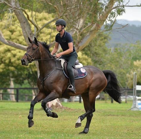 Horse Riding